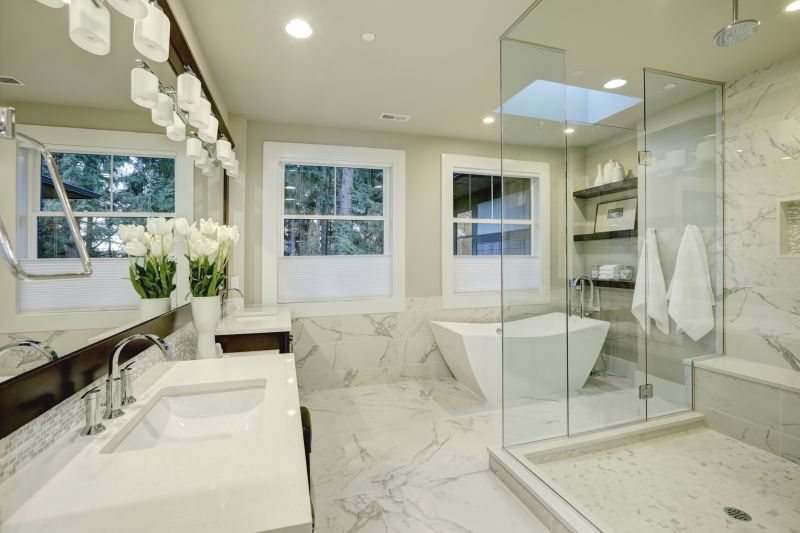 Modern Shower Stall